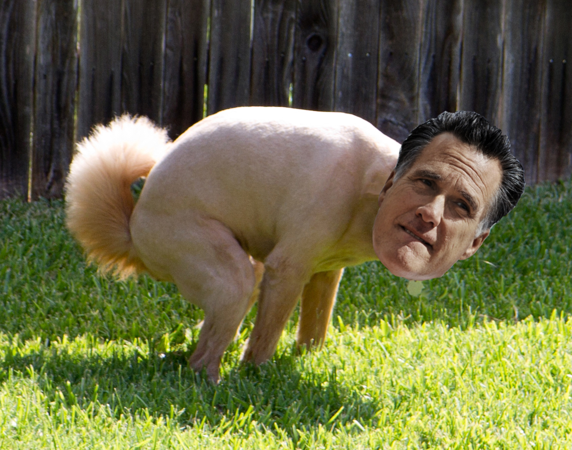 Image result for mutt romney